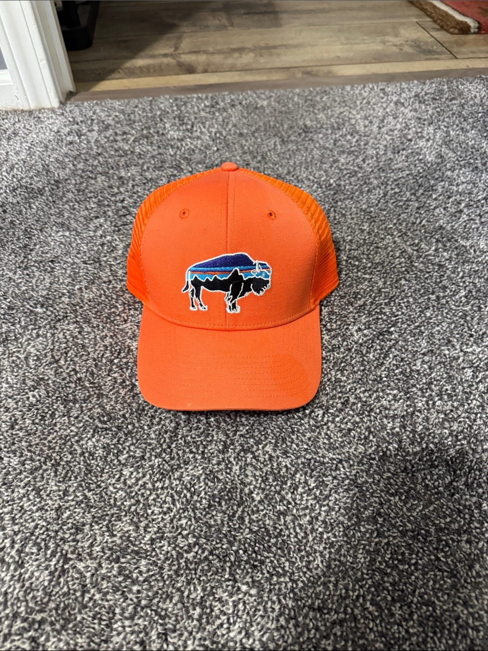Patagonia Fitz Roy Buffalo Hat